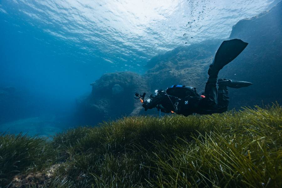 Diver gliding over a seagrass meadow near a rock arch