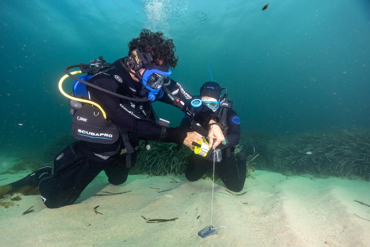 Divers reviewing an eDNA sampling reel underwater
